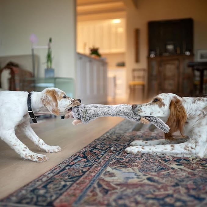 SHARLOVY Dog Squeaky Toys No Stuffing 2 Pack Plush Dog Toys for Medium Dog Toys Crinkle Dog Toys Durable Dog Chew Toys Cute Animals Puppy Toys for Teething Pet Toys - PAWPICO