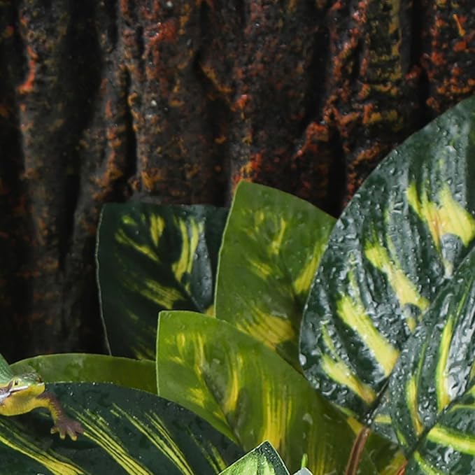 Terrarium Plants for Reptile Terrarium, Reptile Plants Tortoise Habitat Accessories, Artificial Spider Plant for Gecko, Ball Python, Tortoise Terrarium Décor - Peacock Prayer IBWell