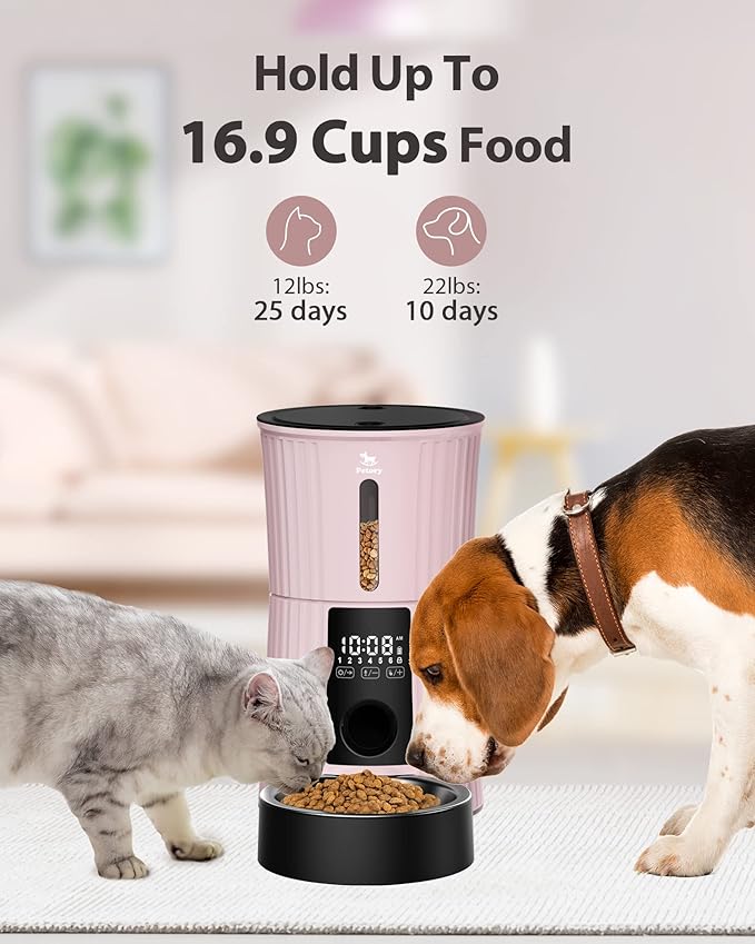 Petory Timed Automatic Cat Feeders - 4L Programable Dry Food Dispenser for Cats and Small Medium Dogs 6 Meals with Desiccant Bag Dual Power Supply 10S Voice Recorder - PAWPICO