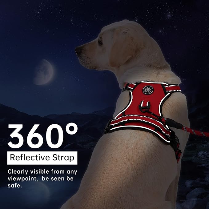 IVY&LANE No Pull Dog Harness for Large Dogs, Dog Vest Harness with Leash, Safety Belt and Storage Strap, Fully Adjustable Harness, 360° Reflective Strip, Soft Handle (Red, L) IVYLANE