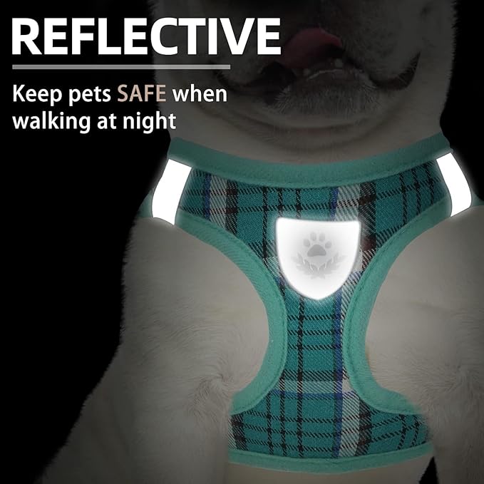 PUPTECK Adjustable Dog Harness Collar and Leash Set Step in No Pull Pet Harness for Small Medium Dogs Puppy and Cats Outdoor Walking Running, Soft Mesh Padded Reflective Vest Harnesses, Lake Green M PUPTECK