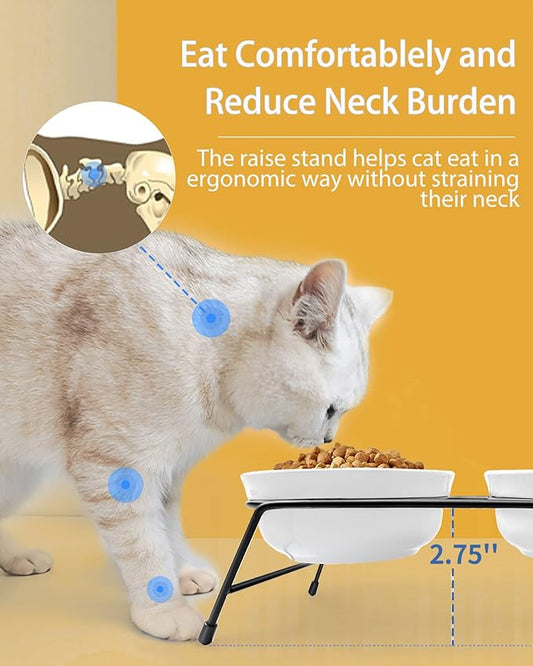 Cat Bowls, Upgraded 13 oz Ceramic Elevated Cat Food Bowls for Food and Water, Raised 2 Cat Dishes with Stainless Steel Stand Non-Slip and Anti-Rust, for Indoor Cats and Small Dog Bowl, Dishwasher Safe - PAWPICO