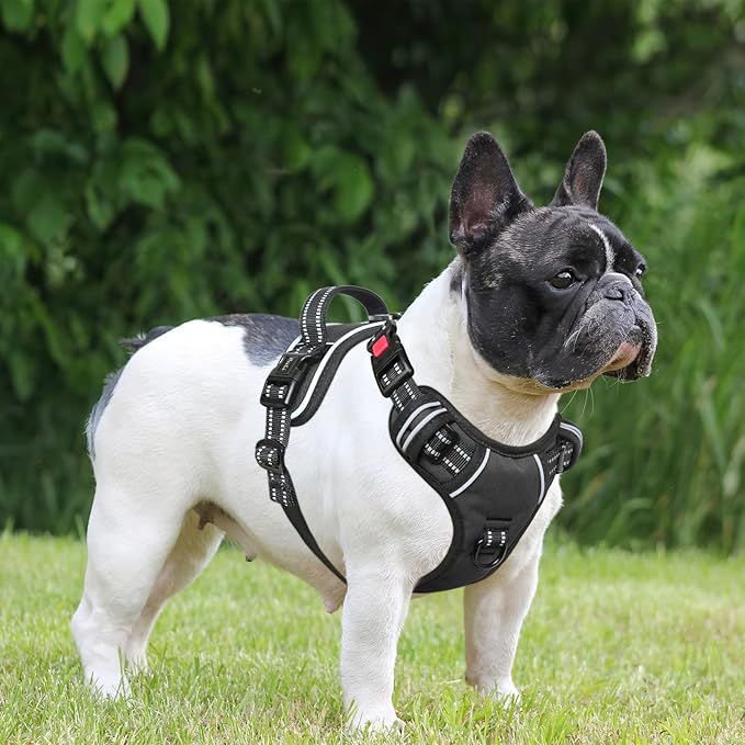 Timos Dog Harness, No-Pull Pet Harness with 2 Leash Clips, Adjustable Soft Padded Dog Vest, Reflective Outdoor Pet Oxford Vest with Easy Control Handle Black Timos