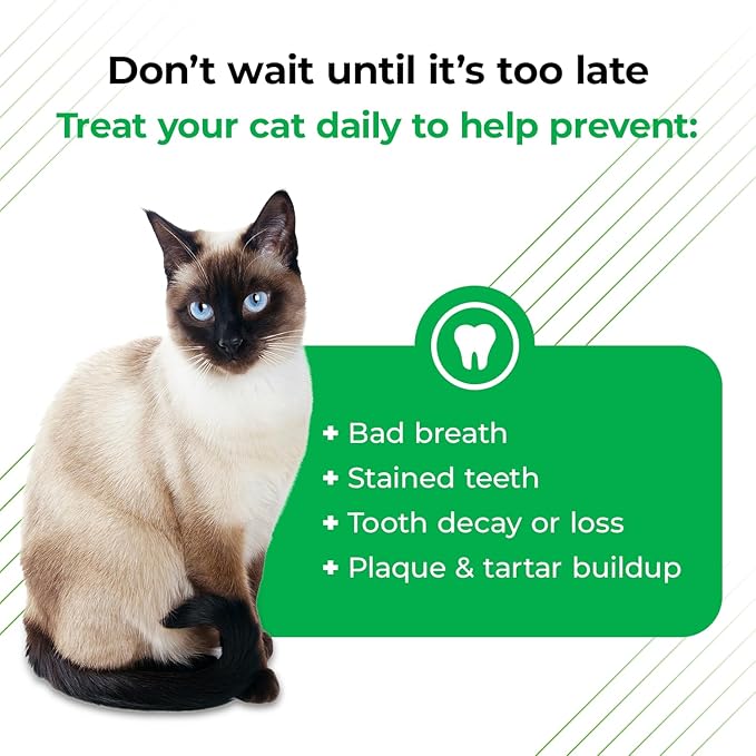 VetriScience Perio Plus Cat Teeth Cleaning Bites - Advanced Cat Breath Freshener - Dual Action Cat Dental Care Formula for Plaque Control & Fresh Breath, 60 Chews, Chicken Flavor VetriScienceLaboratories