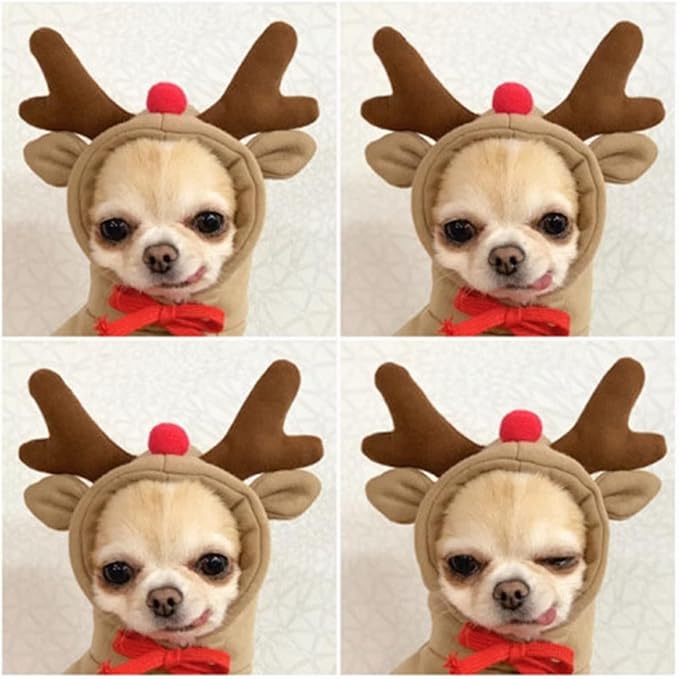Warm Dog Winter Clothes Cute Fruit Dog Coat Hoodies Fleece Pet Dogs Costume Jacket for French Bulldog Chihuahua Ropa para Perro(Coffee,M) - PAWPICO