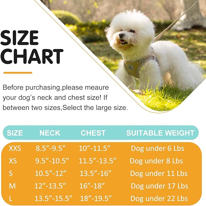 Dog Harness and Leash Set, No Pull Pet Harness for Small Dogs Easy Walking,Soft Breathable Small Dog Harness,Adjustable Reflective Step in Vest Harness for Puppy,Kitten, Cats TomteNisse