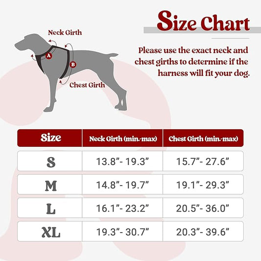 rabbitgoo Dog Harness No Pull with 2 Leash Clips, Adjustable Soft Padded, Reflective Oxford No Choke Pet Vest with Easy Control Handle for Medium Sized Dogs, Red Plaid, M rabbitgoo