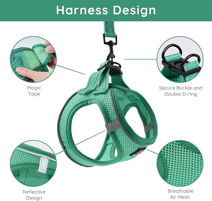 BELLA & PAL Puppy Harness with Leash Set, Dog Harness for Small Dogs No Pull, Dog Leash for Small Dogs, Step in Harness for Extra Small Dogs, Green Harness, XS BELLAPAL