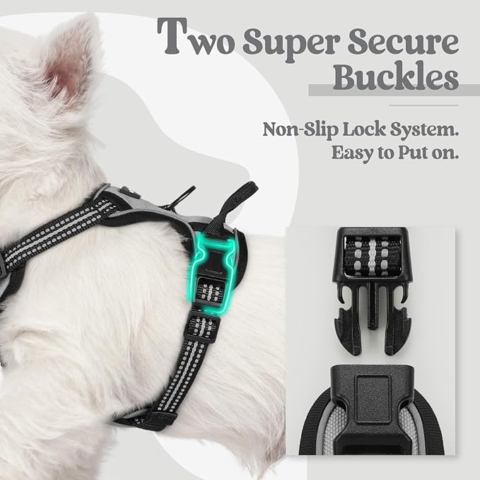rabbitgoo Dog Harness No Pull with 2 Leash Clips, Adjustable Soft Padded, Reflective Oxford No Choke Pet Vest with Easy Control Handle for Puppy, Grey, XS rabbitgoo