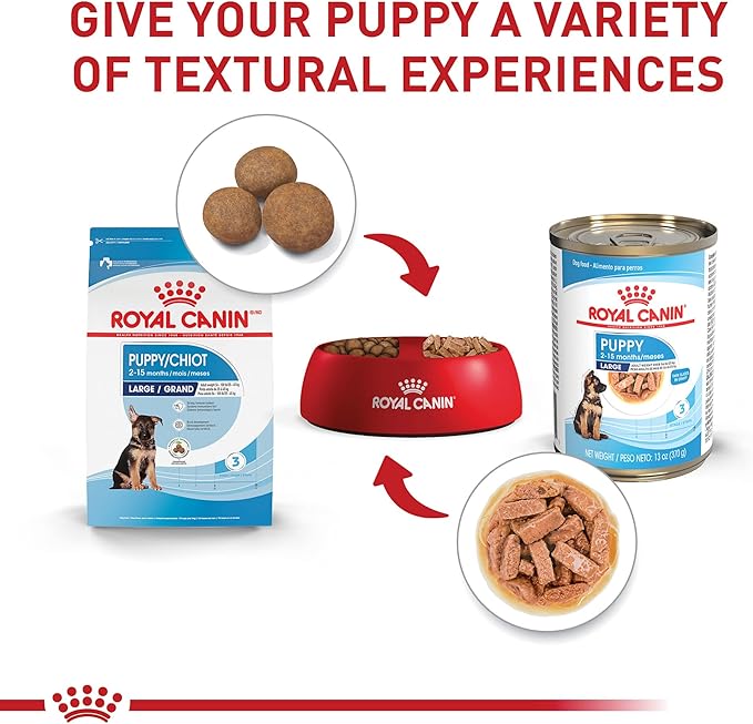 Royal Canin Size Health Nutrition Large Puppy Thin Slices in Gravy Wet Dog Food, 13 oz can (12-count) - PAWPICO