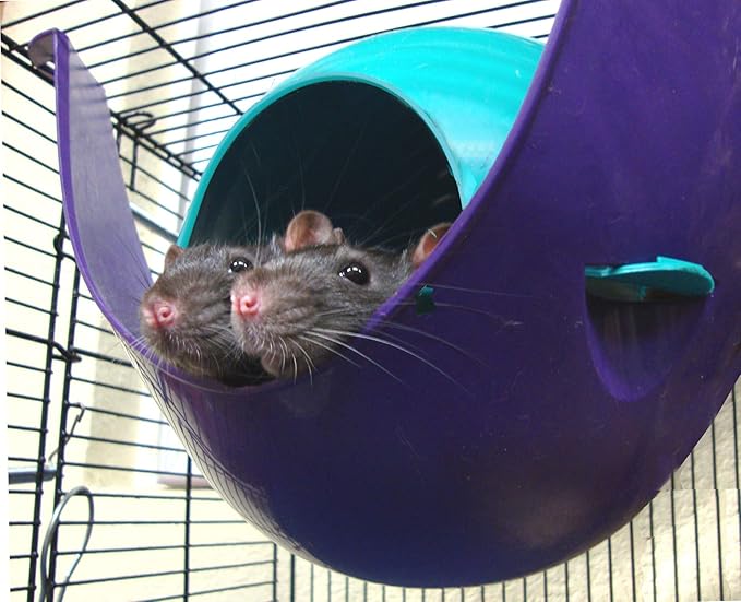 Lixit Igloos and Hideaways for Guinea Pigs, Rats, Mice, Hamsters, Gerbils and Other Small Animals (Blue, Large Space Pod) Lixit