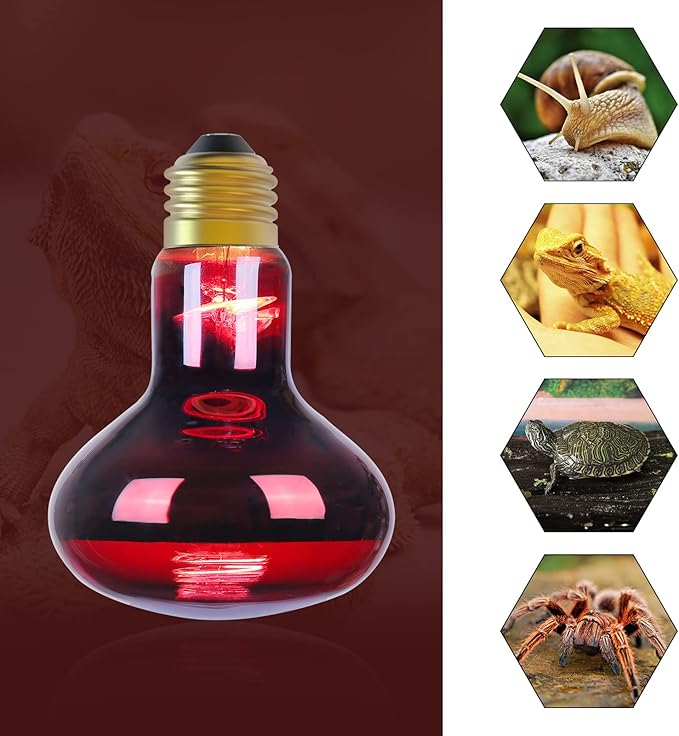 Infrared Heat lamp Basking Spot Light Bulb,LEDESIGN 75 Watt Red Heat Lamp Bulbs for Reptiles and Amphibian Use, 2 Packs (Red) LEDESIGN