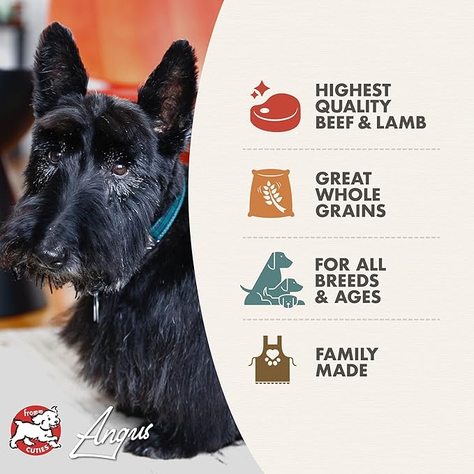 Fromm Four-Star Nutritionals Highlander Beef, Oats, & Barley Dog Food - Premium Dry Dog Food - Beef Recipe - 4 lb - PAWPICO