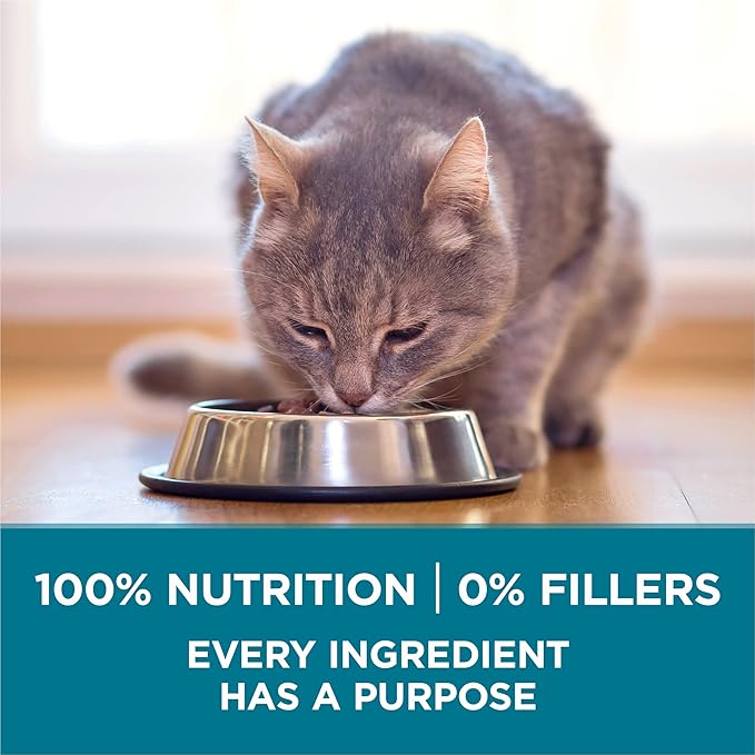 Purina ONE Natural Dry Cat Food, Tender Selects Blend with Real Salmon - 22 lb. Bag - PAWPICO