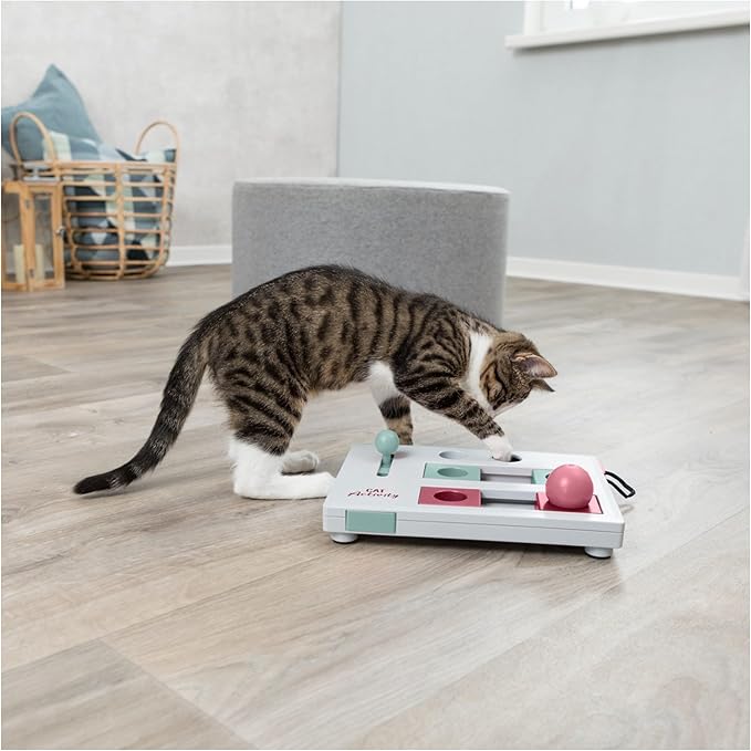TRIXIE Cat Activity Brain Mover, Strategy Game for Mental Stimulation, Interactive Play for Cats, Treat Dispenser, Cat Toy - PAWPICO