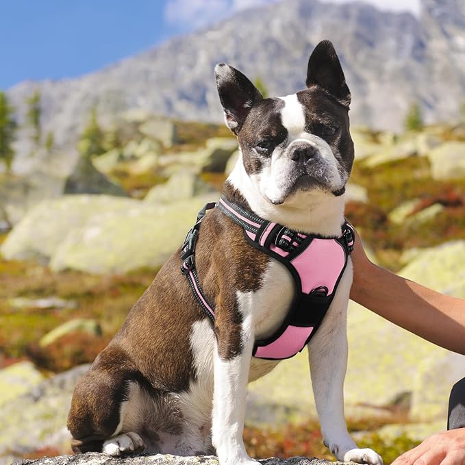 Eagloo Dog Harness Medium Sized Dog, No Pull Service Vest with Reflective Strips and Control Handle, Adjustable and Comfortable for Easy Walking, No Choke Pet Harness with 2 Metal Rings, Pink, M GoExplorewithEagloo