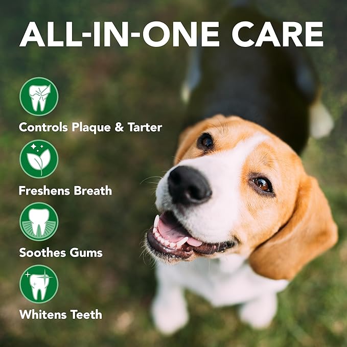 Vet's Best Enzymatic Dog Toothpaste - Teeth Cleaning and Fresh Breath Dental Care Gel - Vet Formulated - 3.5 oz Tubes (12 Pack) VetsBest
