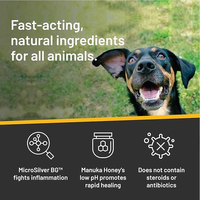 Absorbine Silver Honey Rapid Ear Care Vet Strength Ear Rinse, 4oz, Manuka Honey & MicroSilver BG, Safe for Dogs & Cats Absorbine