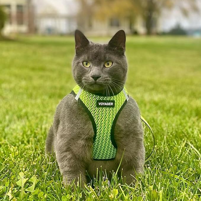 Voyager Step-in Air Dog Harness - All Weather Mesh, Reflective, No Pull Harness for Small, Medium Dogs, Cats - Secure with Hook & Loop Fastener, Buckle, Double D-Rings - Lime Green 2-Tone, S BestPetSuppliesLLC