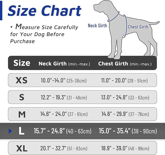 Eagloo Dog Harness for Large Dogs, No Pull Service Vest with Reflective Strips and Control Handle, Adjustable and Comfortable for Easy Walking, No Choke Harness with 2 Metal Rings, Blue & Orange, L GoExplorewithEagloo