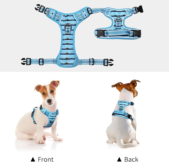 Timos Dog Harness for Small Dogs No Pull,Front Clip Dog Walking Harness with Reflective Adjustable Soft Padded Vest and Easy Control Handle,No-Choke Pet Harness with 2 Metal Rings,Morning,S Timos