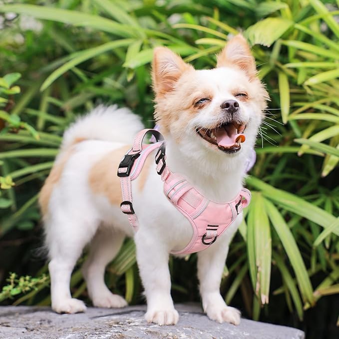 Timos Dog Harness, 3 Snap Buckles No-Pull Soft Padded Dog Vest with 2 Metal Leash Clips, Adjustable Reflective No Choke Pet Harness with Easy Control Handle for Small Dogs,Pale Pink,S Timos