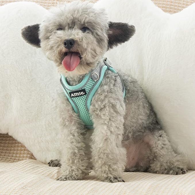 AIITLE Small Harness for Puppy with A Leash - Spring Dog Vest Harness with Super Breathable Mesh, Reflective No-Pull Pet Harness for Outdoor Walking, Camping for Small Dogs, Cats Turquoise XXS AIITLE-FORPETSBETTERLIFE