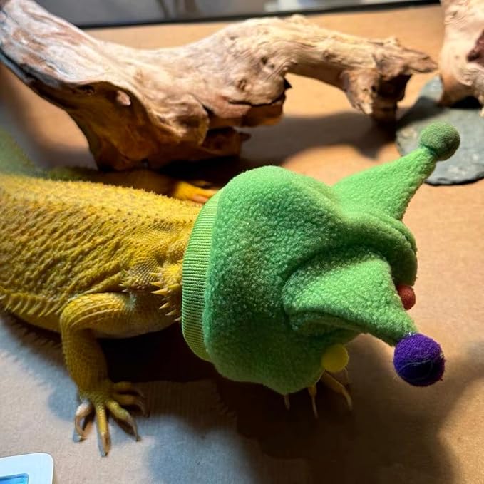 Bearded Dragon Hat - Winter Warm Lizard Cap with Horns & Pom Pom Ball Fun Halloween Outfit Bull Costume Elastic Headwear Accessories Anxiety Relief Ear Muffs for Reptile Fancy Rat Ferret (Green) SEZDEKI