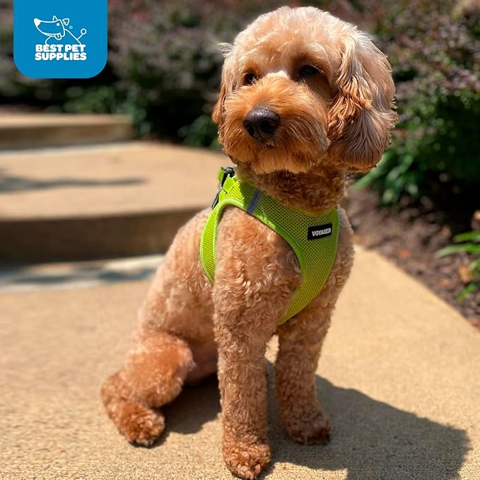 Voyager Step-in Air Dog Harness - All Weather Mesh, Reflective, No Pull Harness for Small, Medium Dogs, Cats - Secure with Hook & Loop Fastener, Buckle, Double D-Rings - Lime Green, XL BestPetSuppliesLLC