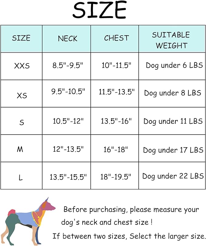 Petank Dog Harness (Pink, L) - Jacquard Mesh, Velcro Design, Reflective Strip, No Pull, Puppy Harness and Leash Set, Small to Medium Dogs, Walking, Running, Training - PAWPICO