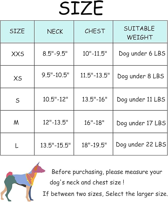 Petank Dog Harness for Small Medium Dogs No Pull, Puppy Harness and Leash Set, Easy Walk Dog Harness for Walking, Running, Training, Small Dog Harness, Medium Dog Harness (Pink, XS) - PAWPICO