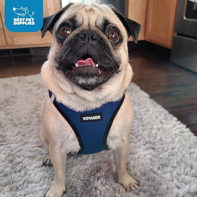 Voyager Step-In Air Dog Harness - All Weather Mesh, Reflective, No Pull Harness for Small, Medium Dogs, Cats - Secure with Hook & Loop Fastener, Buckle, Double D-Rings - Blue/Black Trim, XXS BestPetSuppliesLLC