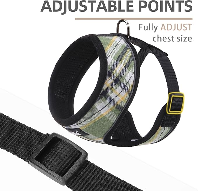 PUPTECK Soft Mesh Dog Harness and Leash Set Pet Puppy Cat Comfort Padded Vest No Pull Harnesses, Green/Yellow, M PUPTECK