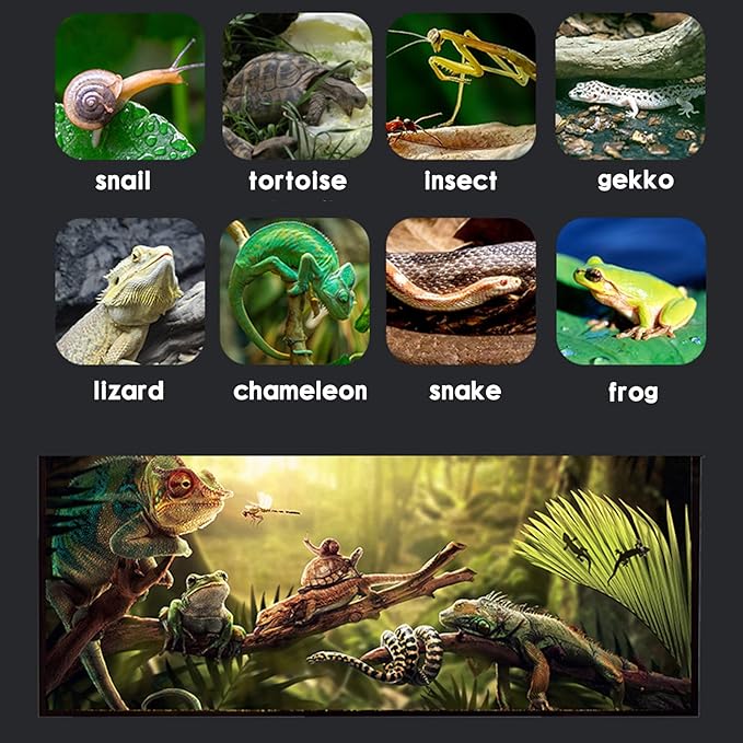 Reptile Glass Terrarium Kit (8 Pieces) 12 * 8 * 8 in,Double Door Amphibian Tank Starter Kit, Suitable for Small Reptiles Such as Geckos, Snakes, Lizards, Chameleons,Serpents SARUFO