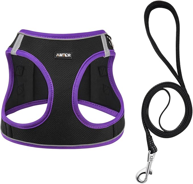 AMTOR Small Dog Harness with Leash Set, No Escape Easy Walk Puppy Harnesses for Training Walking, Step-in Reflective Soft Dogs Vest for XS S Medium Extra-Small Large Sized Dog(Black/Purple) AMTOR