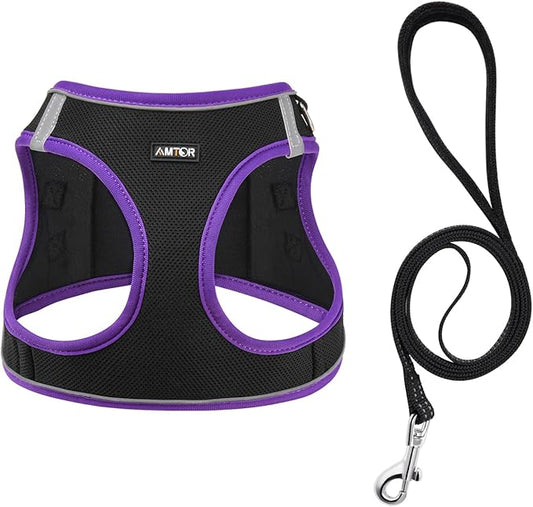 AMTOR Small Dog Harness with Leash Set, No Escape Easy Walk Puppy Harnesses for Training Walking, Step-in Reflective Soft Dogs Vest for XS S Medium Extra-Small Large Sized Dog(Black/Purple) AMTOR