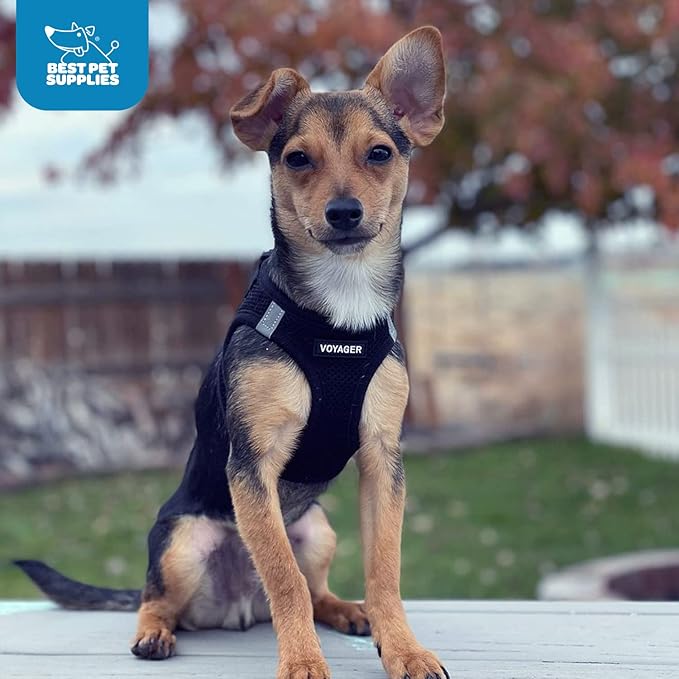Voyager Step-in Air Dog Harness - All Weather Mesh, Reflective, No Pull Harness for Small, Medium Dogs, Cats - Secure with Hook & Loop Fastener, Buckle, Double D-Rings - Black, L BestPetSuppliesLLC