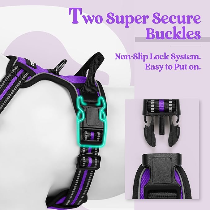 rabbitgoo Dog Harness No Pull with 2 Leash Clips, Adjustable Soft Padded, Reflective Oxford No Choke Pet Vest with Easy Control Handle for Large Dogs, Purple, L rabbitgoo