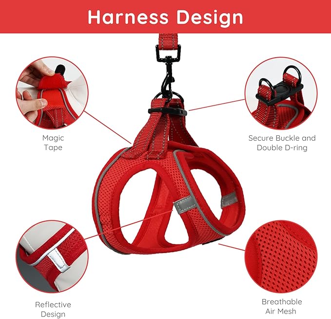 BELLA & PAL Puppy Harness with Leash Set, Dog Harness for Small Dogs No Pull, Dog Leash for Small Dogs, Step in Harness for Extra Small Dogs, Red Harness, M BELLAPAL