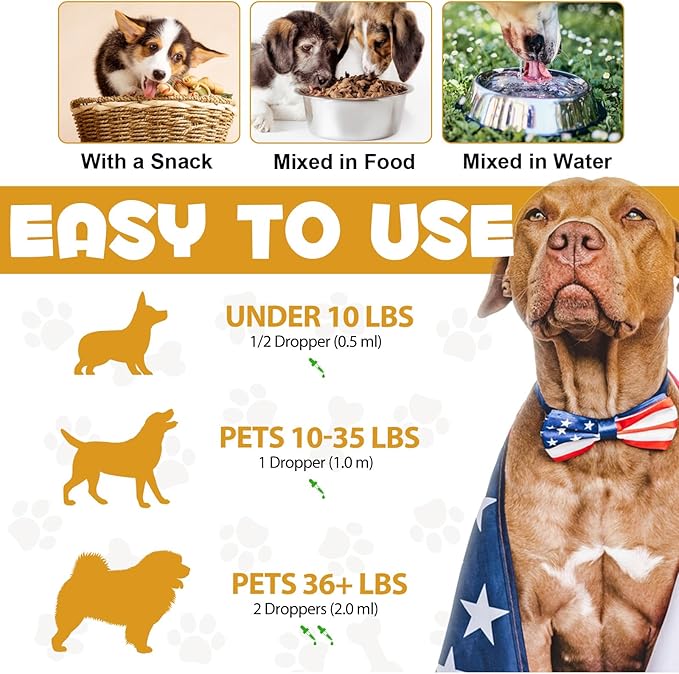 Allergy Relief Drops for Dogs - Allergy and Immune - Immune Support Supplement - Dog Supplement - Natural Pet Supplement for Dog Allergy Relief with Turmeric & Milk Thistle PAWPICO