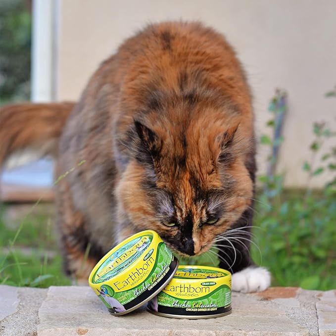 Earthborn-Holistic Cat Food Variety Pack - 4 Flavors: Catalina Catch, Harbor Harvest, Chicken Catcciatori, & Monterey Medley - PAWPICO