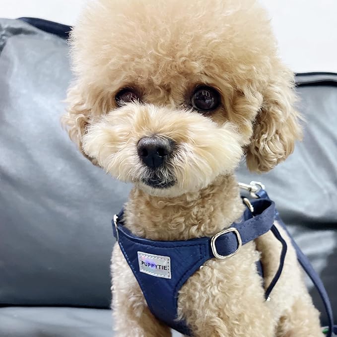 Puppytie No Pull xs Dog Harness with Multifunction Dog Leash,Soft Adjustable No Choke Escape Proof Pet Harness Vest,Glossy Sapphire Blue,XS Puppytie