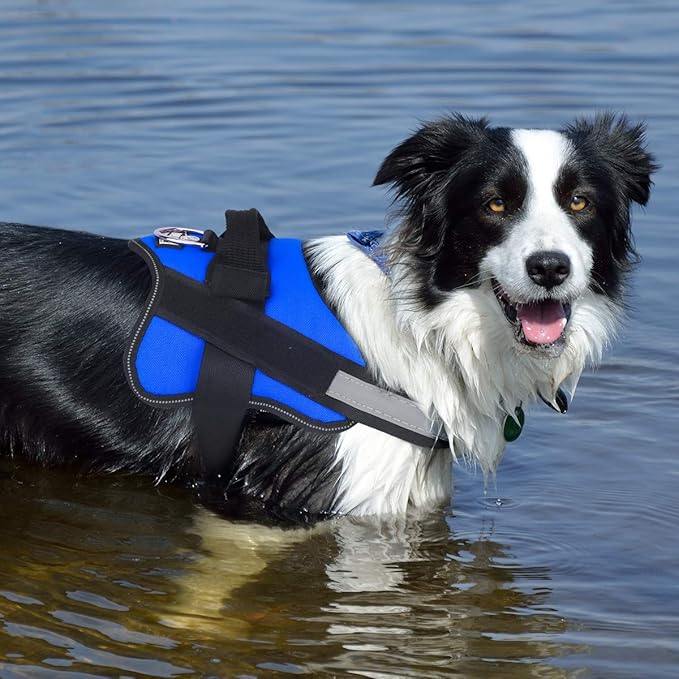 Bolux Dog Harness, No-Pull Reflective Dog Vest, Breathable Adjustable Pet Harness with Handle for Outdoor Walking - No More Pulling, Tugging or Choking (Blue, XXL) Bolux