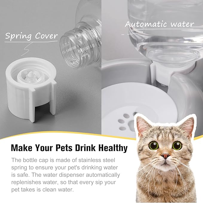 Dog Bowls, Cat Food and Water Bowl Set with Water Dispenser and Stainless Steel Bowl for Cats and Small Dogs - Grey - PAWPICO