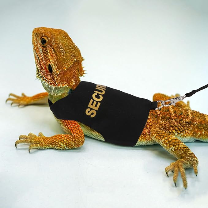Hypeety Bearded Dragon Harness and Leash Set Adjustable Escape Proof Leash Outdoor Walking Training Leash and Harness for Bearded Dragon Lizard Reptiles Small Pets Black (Security) Hypeety