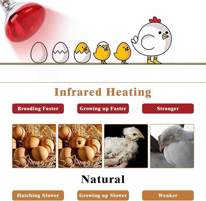 250W Red Heat Lamp Bulbs for Chicken,Infrared Flood Light Heat Lamp Bulb, Incandescent Light Heat Lamps for Chicks, Reptile, Pets, Par38 Glass E26 Base REPTIHOME