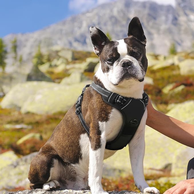 Eagloo Dog Harness Medium Sized Dog, No Pull Service Vest with Reflective Strips and Control Handle, Adjustable and Comfortable for Easy Walking, No Choke Pet Harness with 2 Metal Rings, Black, M GoExplorewithEagloo