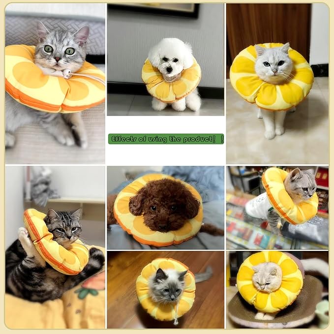 Cat Recovery Soft Collar.Waterproof Soft Recovery Cone Collar. Anti-bite and Anti-Lick Wound Healing Safe Adjustable Elizabethan Collar.(S) PAWPICO