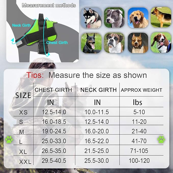 Bolux Dog Harness, No-Pull Reflective Dog Vest, Breathable Adjustable Pet Harness with Handle for Outdoor Walking - No More Pulling, Tugging or Choking (Green, L) Bolux