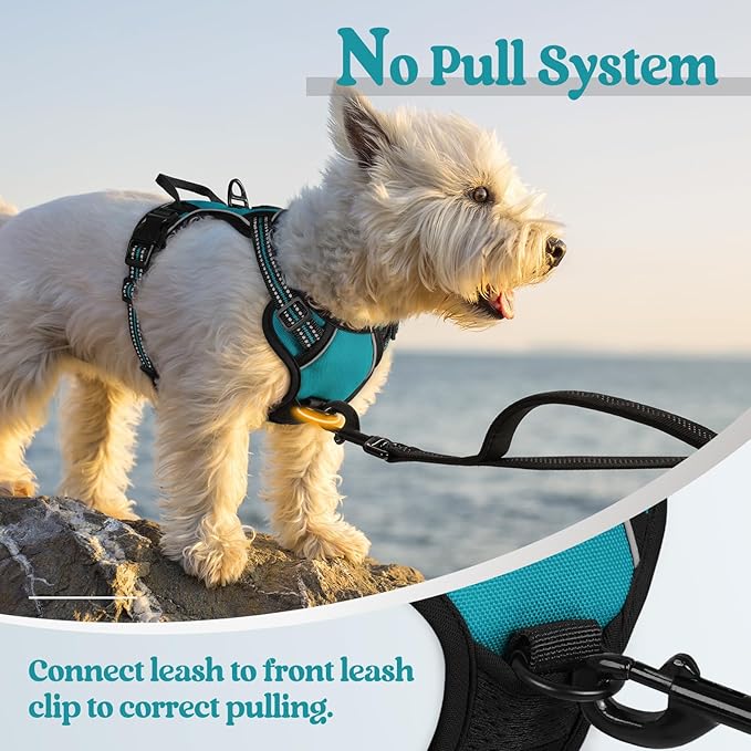 rabbitgoo Dog Harness No Pull with 2 Leash Clips, Adjustable Soft Padded, Reflective Oxford No Choke Pet Vest with Easy Control Handle for Puppy, Teal, XS rabbitgoo